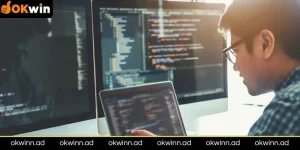 Cơ hội gia nhập đội ngũ IT Website Okwin năm 2025