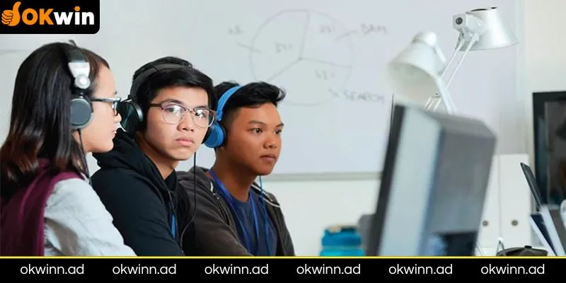 Nghề hot dành cho bạn nào muốn ứng tuyển vào IT Website Okwin